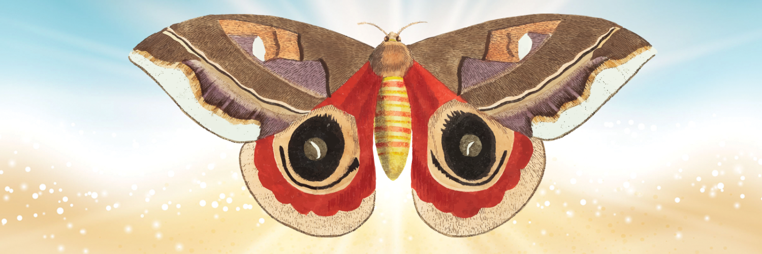 Meet Me At Dawn: An illustration of a moth with bright sunburst behind it on the background of a beach
