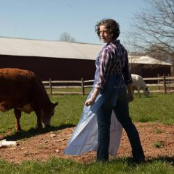 Corinna Burns for Charolais. Photo: Plate 3.