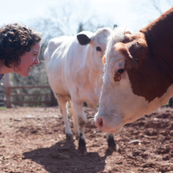Corinna Burns for Charolais. Photo: Plate 3.