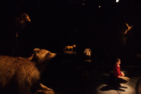 Love, Lies and Taxidermy. Photo: Plate 3